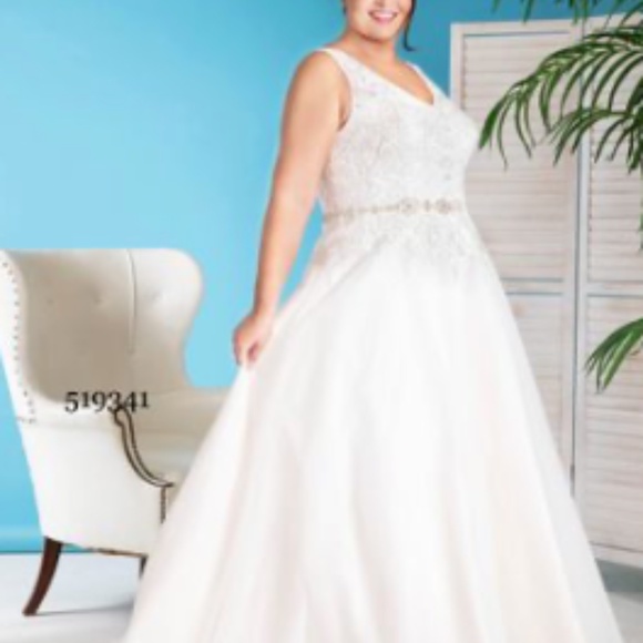 Abby Curvy Blush Bridal Gown - Picture 2 of 4